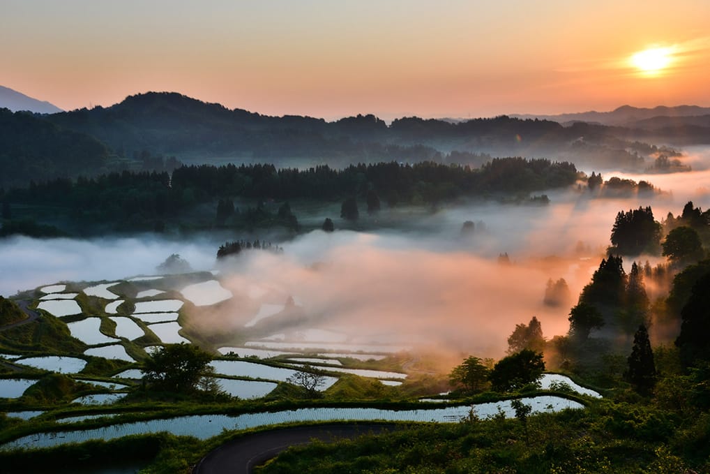 上村 憲司