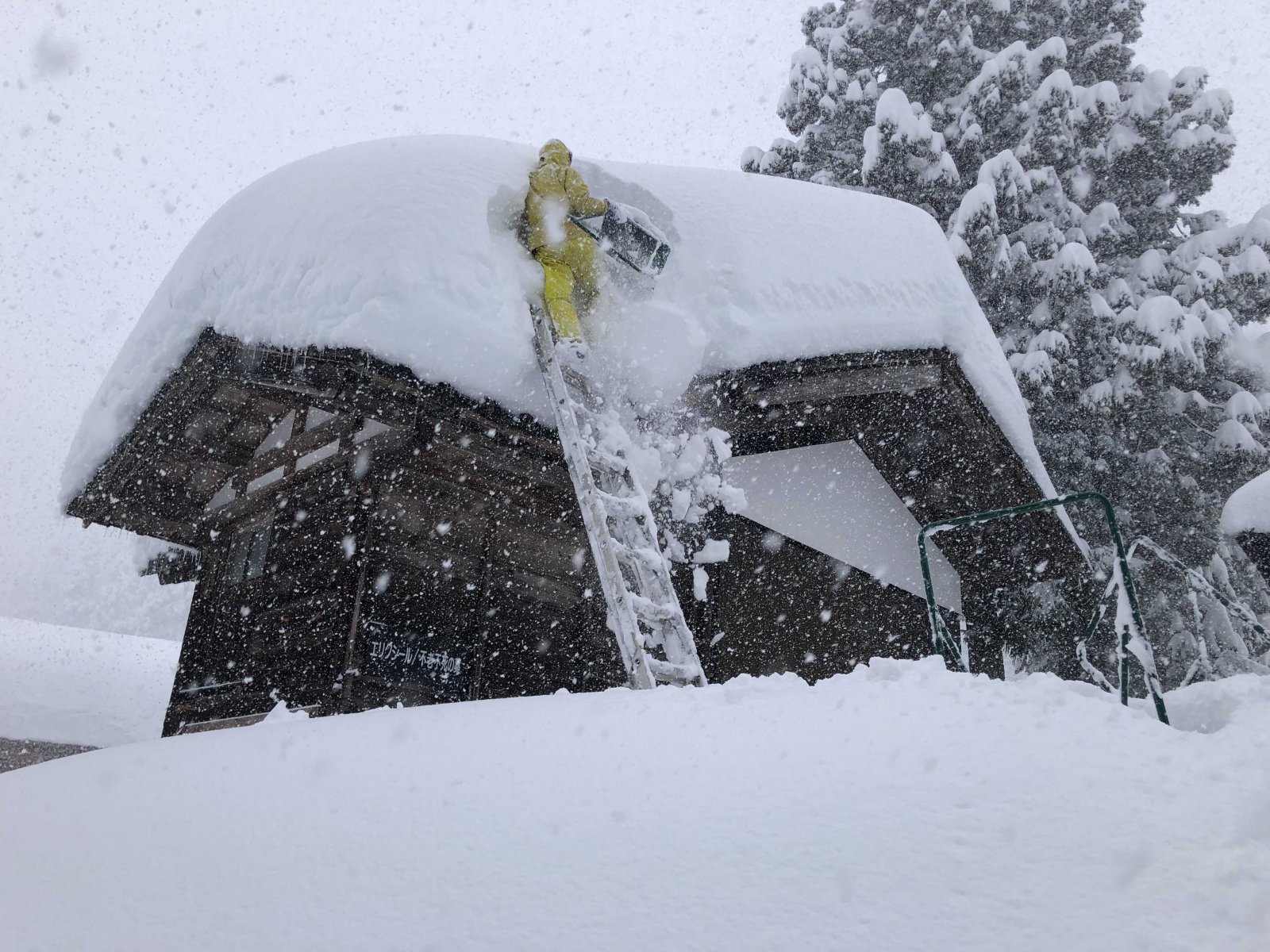 郑州的雪开始下大了 本周末还有大雪过程-大河新闻