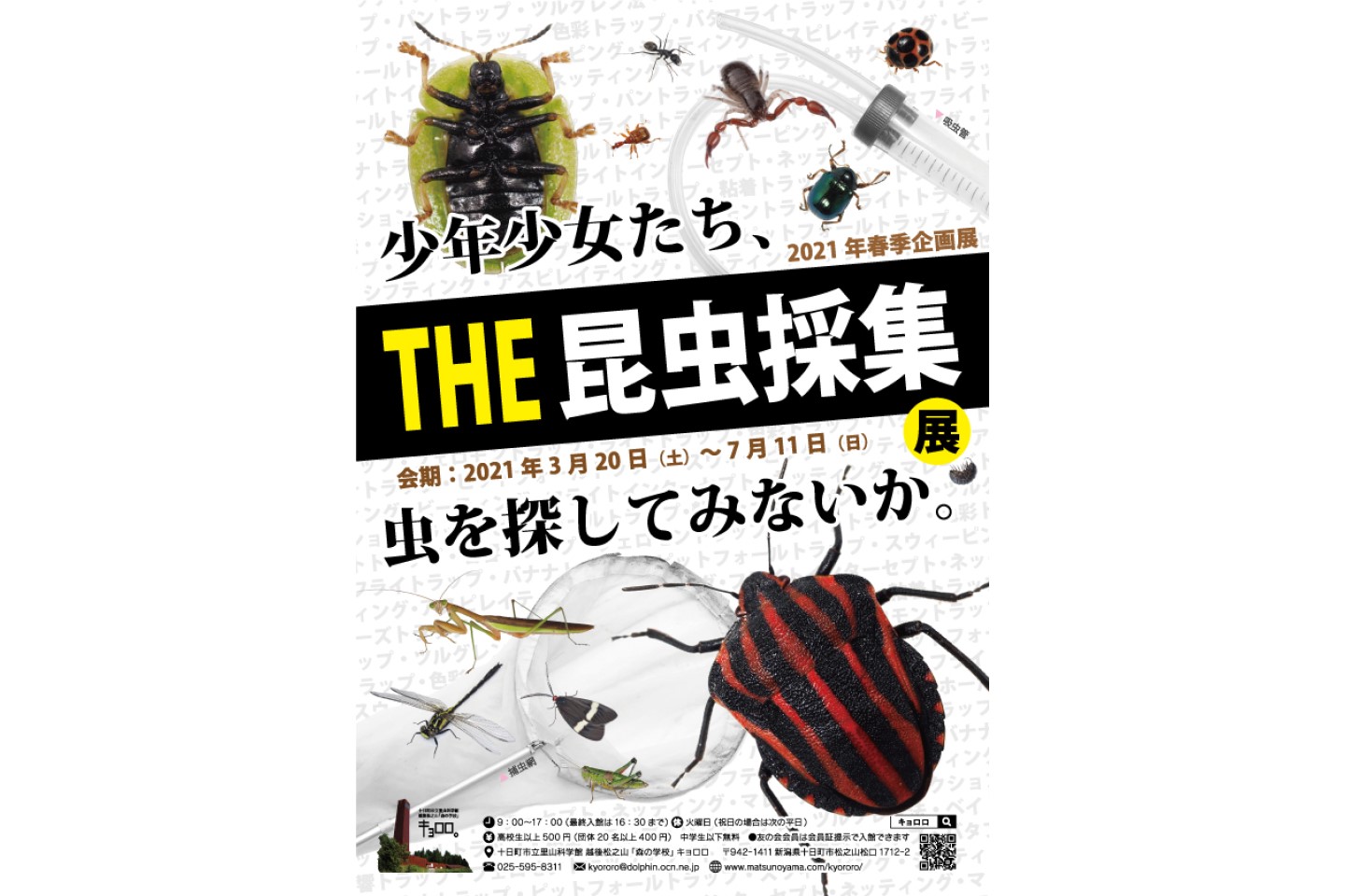 春季企画展 The昆虫採集展 イベント 大地の芸術祭 春季企画展 The昆虫採集展 イベント 大地の芸術祭