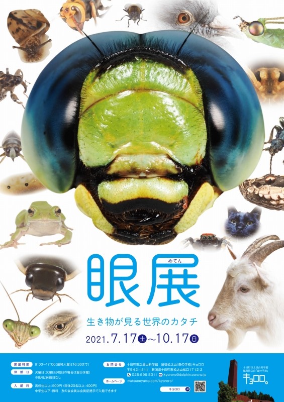 森の学校 キョロロ 夏季企画展 眼展 生き物が見る世界のカタチ イベント 大地の芸術祭